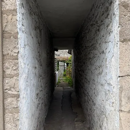 The Burrow *